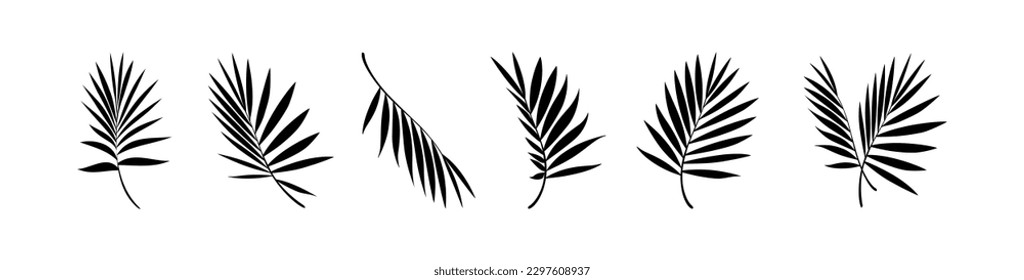 Beautiful palm tree leaf set silhouette background vector illustration 10 eps.