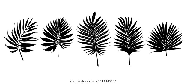 Beautiful palm tree leaf set silhouette background vector illustration 3.