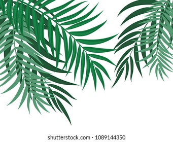 Beautiful Palm Tree Leaf Silhouette Background Vector Illustration EPS10