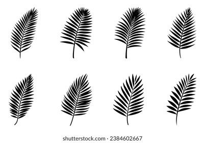 Bonito conjunto de siluetas de hojas de palmera