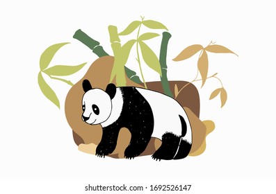 Beautiful panda bamboo illustration, great design for any purposes. Bamboo tree vector background. Wildlife character. Graphic abstract background. Animal wildlife background.