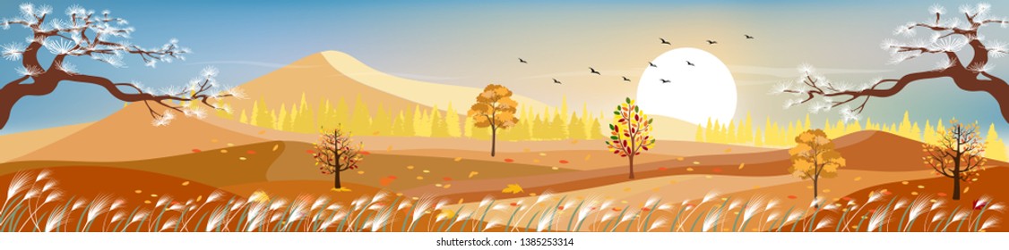 Beautiful panorama landscapes of Countryside in autumn, Panoramic of mid autumn with farm field, mountains, wild grass and leaves falling from trees