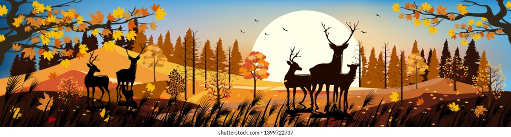 Beautiful panorama landscapes of Countryside in autumn, Panoramic of mid autumn with sunset, Silhouette of deers in the forest during autumn season, Natural background