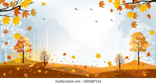 Beautiful panorama landscapes of Countryside in autumn, Panoramic view sunny day in mid autumn, Natural background