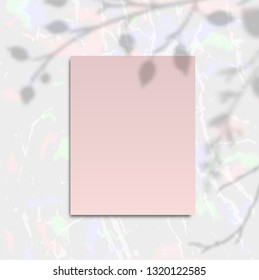 Beautiful paper background card with ginkgo leaves branch shadow on marble surface. Mock up scene creator Styled banner social media. branding design. Space for text Feminine greeting desktop mock-up
