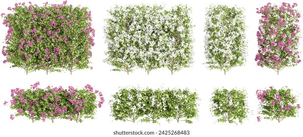 Beautiful paper flower plants isolated on transparent background. 3D render