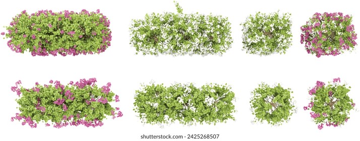 Hermosas plantas de flores de papel aisladas sobre fondo transparente. Procesamiento 3D desde la vista superior