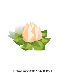 Beautiful paper lotus