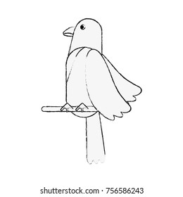 Beautiful parrot bird