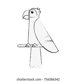 Beautiful parrot bird