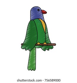 Beautiful parrot bird