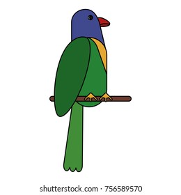 Beautiful parrot bird