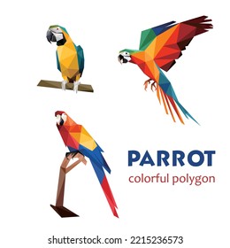 Beautiful Parrot Bird Set in polygonal. Abstract parrot Collection Illustration. Polygonal Parrot Illustration