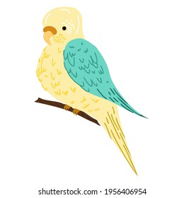 Beautiful parrot cartoon illustration on white background. Tropical bird sitting on a branch 
