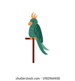 Beautiful parrot, colorful tropical exotic bird sits on a perch. Flat cartoon vector illustration isolated on a white.