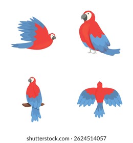 Beautiful parrot icons set cartoon vector. Colorful adult parrot macaw. Tropical bird