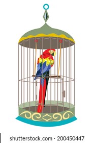 Beautiful Parrot inside a cage vector