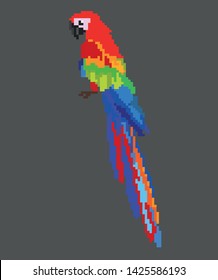 beautiful parrot macaw pixel. vector