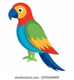 beautiful parrot on white background