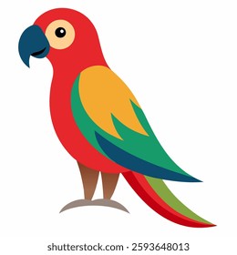 Beautiful parrot on white background