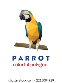 Beautiful parrot in Polygonal Low poly. abstract Parrot Icon Vector. Parrot Illustration Logo