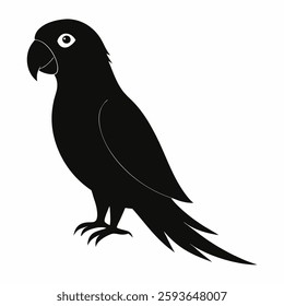 beautiful parrot silhouette on white background