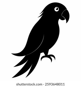 Beautiful parrot silhouette on white background