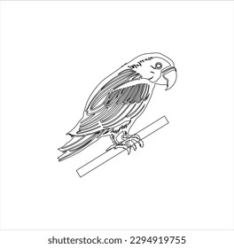 A beautiful parrot vector line art.