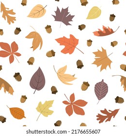 Beautiful pastel autumn forest falling leaves with cute acorns. Cool background seasonal vector illustration. Fall season specific vector background. Oak and maple tree foliage.