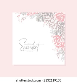 beautiful pastel color succulent background