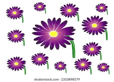 Beautiful pastel purple blooming flowers on a white background. Spring and summer pattern