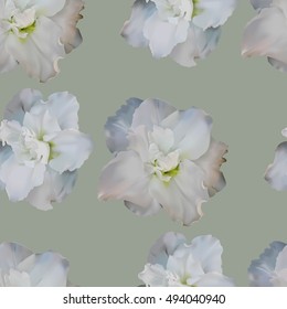 Beautiful pastel seamless pattern with azaleas on light green background. Vector illustration.