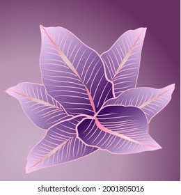 Hermoso patrón de hojas abstractas. Moderno estilo vintage de ahogamiento manual. Concepto de fondo, fondo de pantalla, tela, textiles, teléfono móvil, fondo para tu negocio.Ilustración vectorial.