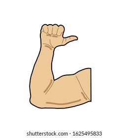 The beautiful pattern arm muscles