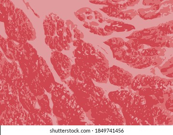 Beautiful Pattern Of Beef Texture