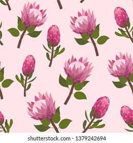 Beautiful pattern with exotic protea flowers. Trendy vector seamless texture.