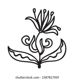 Beautiful pattern flower. Vector illustration