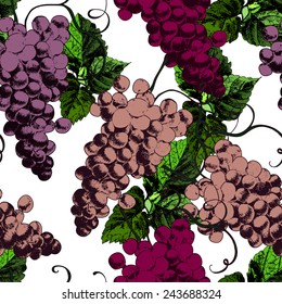 Beautiful pattern with grapes. Vector.
