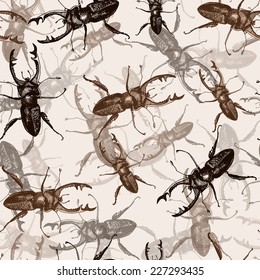beautiful pattern with the image of beetles. Vector.