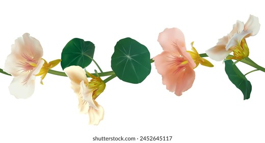 Beautiful pattern of multi-colored tropical flowers. Nasturtium. Green leaves. Border. Seamless pattern.