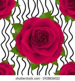 Patrón hermoso diseño de ilustración Rose realista aislado en un fondo elegante con imágenes de ilustración 3D