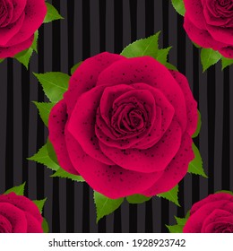 Beautiful pattern realistic Rose illustration design isolated on stylish background with 3D illustration images