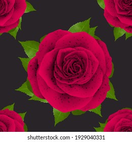 Patrón hermoso diseño de ilustración Rose realista aislado en un fondo elegante con imágenes de ilustración 3D