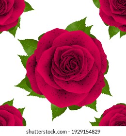 Beautiful pattern realistic Rose illustration design isolated on stylish background with 3D illustration images