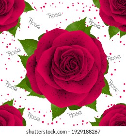Beautiful pattern realistic Rose illustration design isolated on stylish background with 3D illustration images