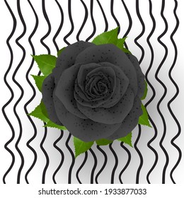 Patrón hermoso diseño de ilustración Rose realista aislado en un fondo elegante con imágenes de ilustración 3D
