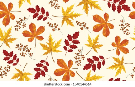 Beautiful pattern seamless of yellow red and orange leaves. Maple, ash and oak. Hand drawn style fresh rustic eco. Vector decorative cute elegant illustration isolated white background