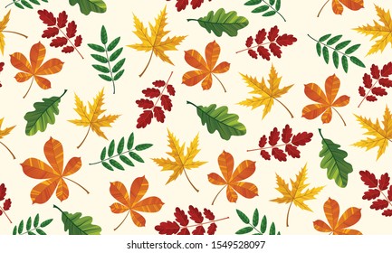 Beautiful pattern seamless of yellow red, green and orange leaves. Maple, ash and oak. Hand drawn style fresh rustic eco. Vector decorative cute elegant illustration isolated white background