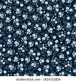 Beautiful pattern in a small flower. Small white flowers. Dark blue background. Ditsy flower background. Elegant template for fashionable prints.