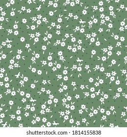 Hermoso patrón en una flor pequeña. Pequeñas flores blancas. Fondo verde. Elegante plantilla para impresiones de moda.